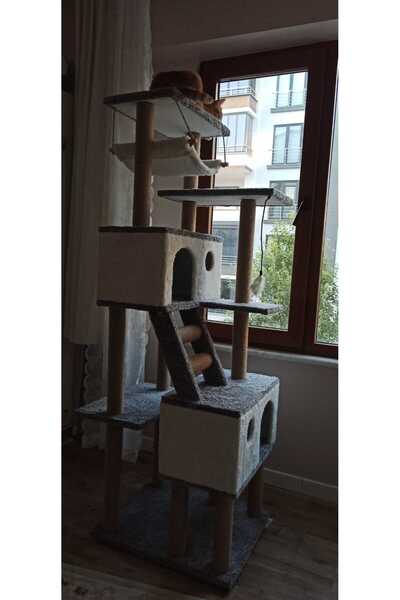 pethomealpi Luxury Cat Scratching House and Play Platform - with Hammock and Nest