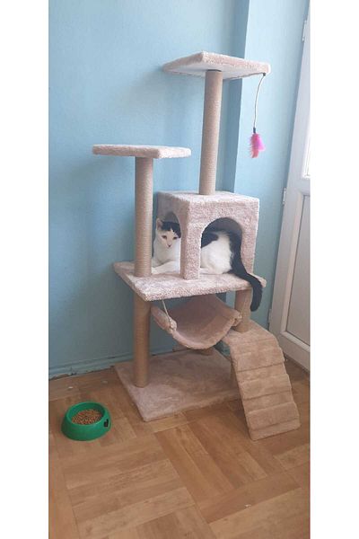 pethomealpi Luxury Cat Scratching House and Play Platform - with Hammock and Nest