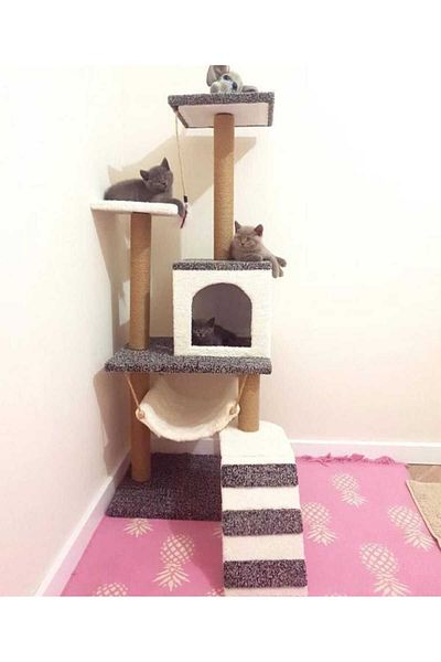 pethomealpi Luxury Cat Scratching and Play Platform - with Hammock and Nest