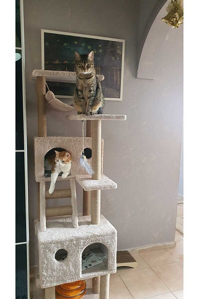 pethomealpi Luxury Cat Scratching and Play Platform - with Hammock and Nest
