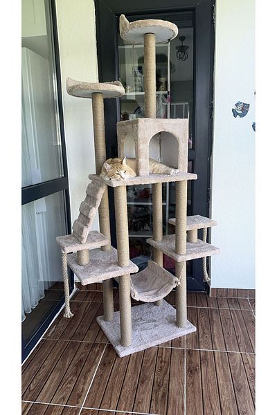 pethomealpi Luxury Cat Scratching House and Play Platform with Hammock and Slot