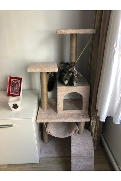 pethomealpi Luxury Cat Scratching and Play Platform - with Hammock and Nest
