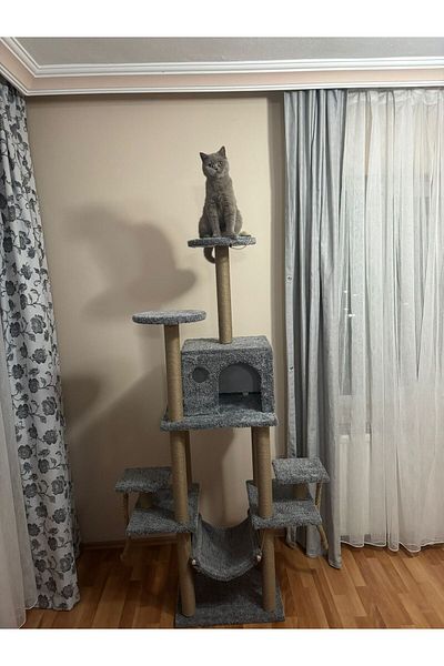 pethomealpi Luxury Cat Scratching House and Play Platform - with Hammock and Nest