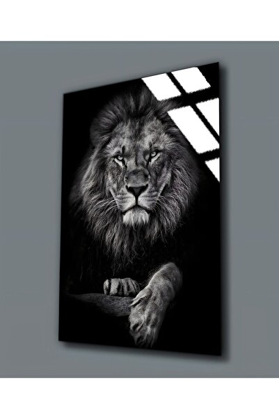 Harika bir ev ΧΑΡΙΚΑΜΠΙΡΕΒ | ΑΝΘΕΚΤΙΚΟ ΓΥΑΛΙ (ΣΚΛΗΡΥΜΕΝΟ) ΠΙΝΑΚΑΣ ΑΣΛΑΝ 04 | ...