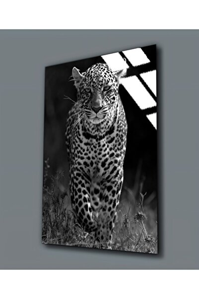 Harikabirev HARİKABİREV | STICLA INESABILĂ (TEMPERATĂ) TABLA TIGRIE 02 | TMTEKLİ