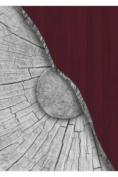 Harikabirev HARİKABİREV|BORDO - GRİ SOYUT ŞEKİL KOMBİNİ 3 |ÇERÇEVELİ TEMPERLİ CAM TABLO 3LÜ DİKEY