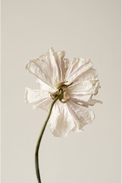 Harikabirev HARİKABİREV | COMBINAT DE FLORI VERDE-CREMĂ 01 | TABLO DE STICLA CU CADRU 2 PIESE VERTICAL