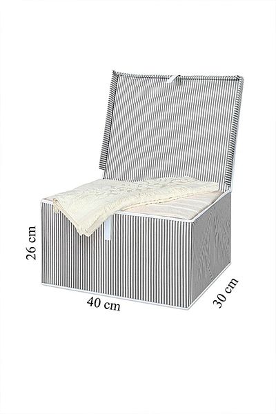 Nisahometeks 2 Pieces Mini Box Storage 40 X 30 X 26 Cm