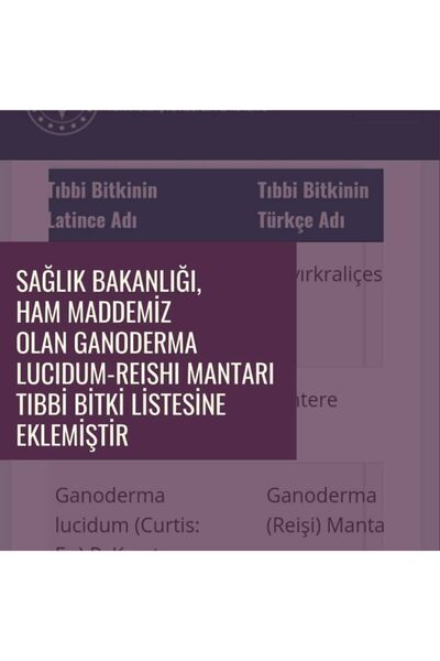 GanoExcel Gano Excel Rooibos Çay Organik