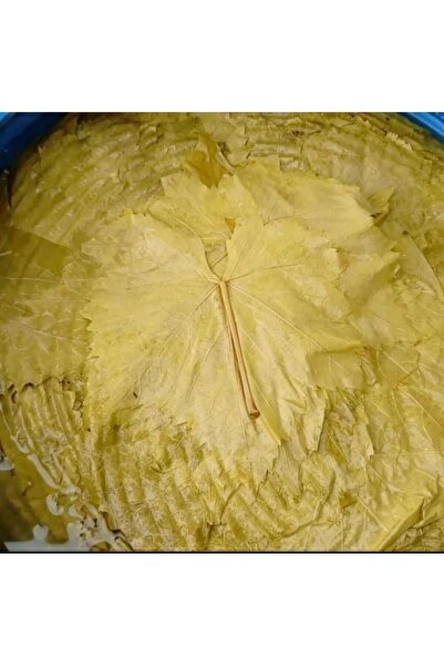 TANSU ŞAHAL Manisa Sultaniye Salamura Asma Yaprak 2024 Yeni Mahsül 5 L