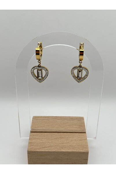 Arnes Jewelry Steel Dangle Zircon Stone Heart Earrings