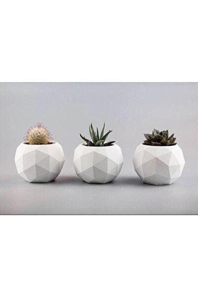 Genel Markalar Üçlü Yuvarlak Prizma Ham Alçı Döküm Boyamalık Kendin Yap Skulent Saksı Seti