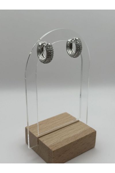 Arnes Jewelry Steel Zircon Stone Round Earrings