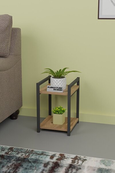 FurnatureDesign Metal Ahşap Dekoratif Çok Amaçlı Raf 2 Katlı Banyo Mutfak Rafı Çiçeklik Organizer Atlantik Çam