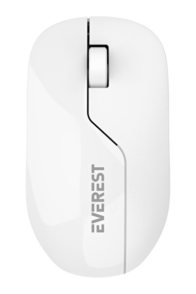 Everest mouse