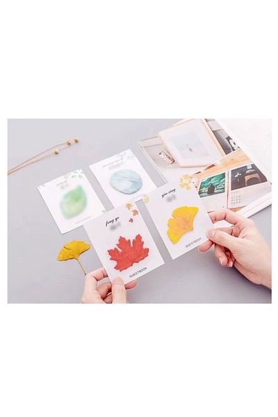 Padme studio Adhesive Note Paper-yellow Autumn/30 Sheets
