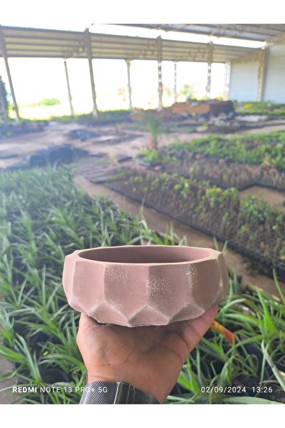 Genel Markalar Geometrik taş Orkide bonsai ve aranjman saksısı