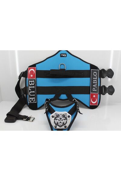 MgTasma Kişiye Özel, Isimli K9 Köpek Tasması, Göğüs Ve Sırt Tasması Seti Renkli