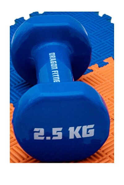 ALTIS 1x2.5 kg Vinyl Kaplama Dambıl Pvc Kaplamalı Döküm