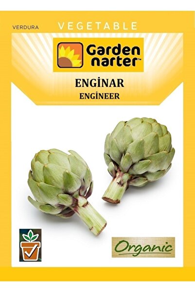 GARDEN NARTER Enginar Tohumu Doğal Organik Akdeniz Enginar Tohumu Pakette 20 ...