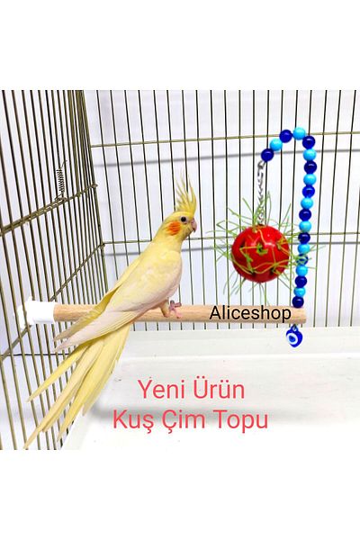 aliceshop Sultan Sevda Paradise - Parrot with Perches and Bird Ball, Budgie and Size