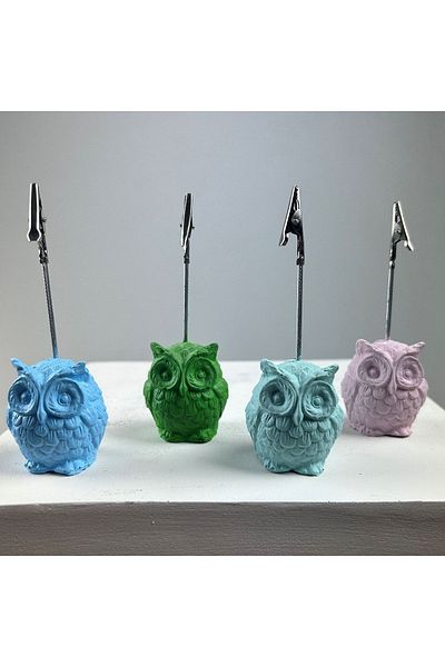 oasis decoration Owl Note Holder Set of 4 (Light Blue - Pink - Mint - Green)