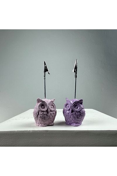 oasis decoration Owl Note Holder Set of 2 (lilac - Pink)