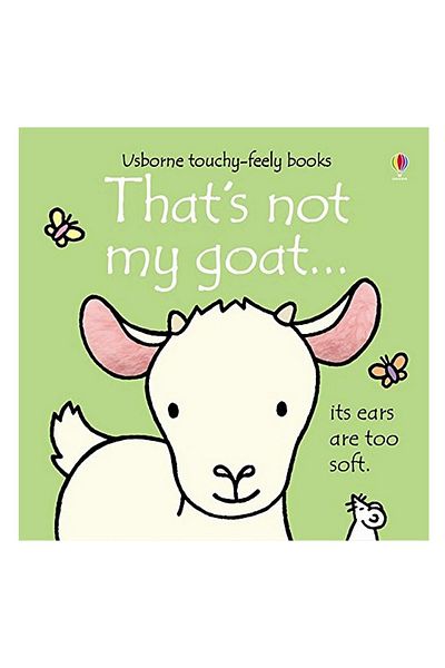 Usborne We Don't Say Your First