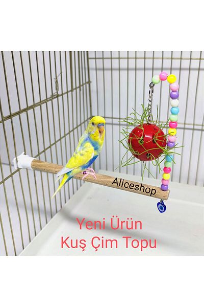 aliceshop Cage Bird Grass Ball with Perch - for