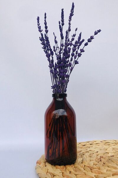 Juniberry Amber Kahverengi Cam Şişe Kavanoz Şişesi Dekoratif Küçük Vazo 100ml...