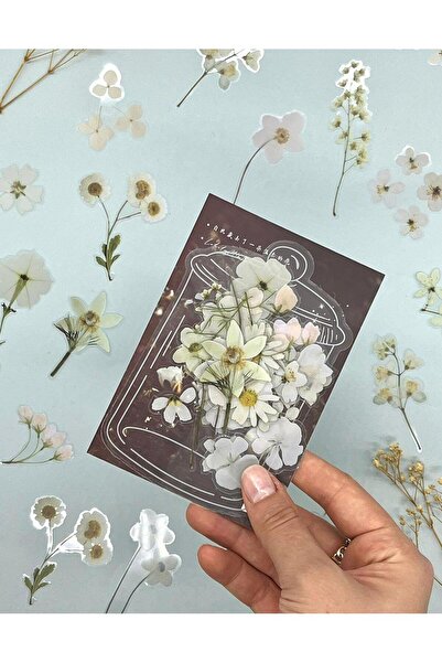 Kağıt Gemi Dükkan Retro Beyaz Renkli Çiçek 40 Adet Şeffaf Sticker/Bullet Jour...