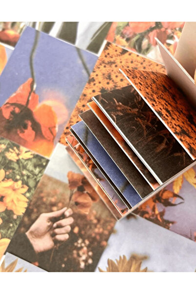 Kağıt Gemi Dükkan ملصق دفتر ملاحظات من جاردن ستار برتقالي مكون من 50 ورقة/ملصق/ملصق/دفتر يوميات/زخرفة دفتر ملاحظات/دفتر قصاصات