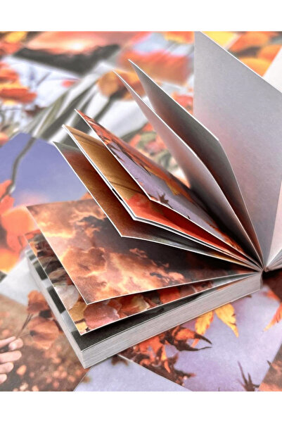 Kağıt Gemi Dükkan ملصق دفتر ملاحظات من جاردن ستار برتقالي مكون من 50 ورقة/ملصق/ملصق/دفتر يوميات/زخرفة دفتر ملاحظات/دفتر قصاصات