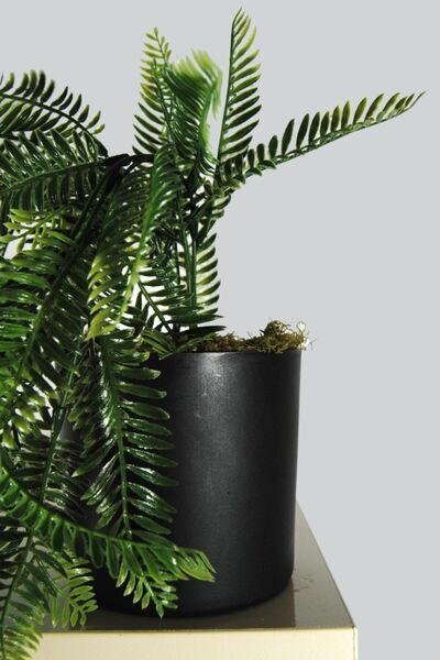 Lilac Home Yapay Çiçek Siyah Saksıda Aşk Merdiveni Sarkıtı