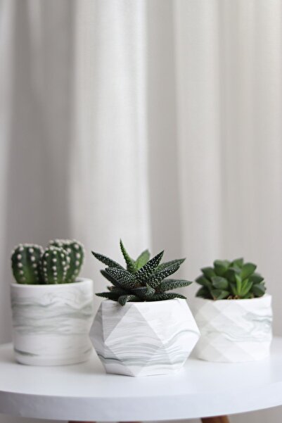 LOREMY Mermer Desenli Beton Saksı Üçlü Set Kaktüs&sukulent Saksısı Küçük Boy
