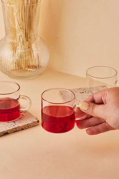Perotti Dg3250 Fausto 6 Piece Borosilicate Mini Glass Coffee And Tea Cup