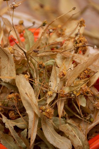 Kurtuluş Kuruyemiş 150Gr Leaf Linden