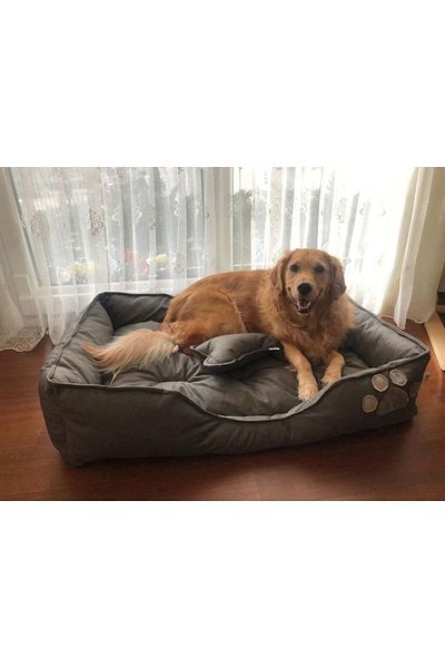 Patili Evler Large Size Dog Bed with Anthracite Bone Pillow 80x110 cm- Xxl- Bone Padded