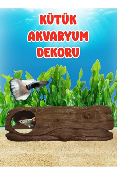 MDİZMİR Kütük Akvaryum Dekoru Lepistes Dekoru MD İzmir Petshop