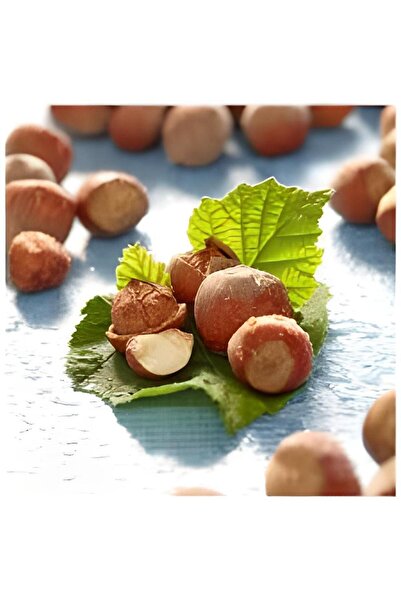 Çilimli Yeldeğirmeni Fındık Atölyesi Kabuklu Fındık, 1000 Gr. Katkısız Sağlık...