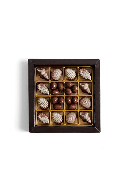 Schocolate Weis Deniz Kabuğu Spesiyal Çikolata Kutu