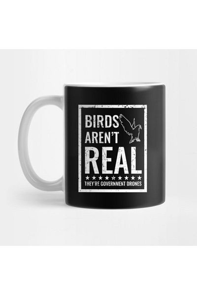 TatFast Birds Aren't Real - كوب طائرات بدون طيار للحكومة، هدية، مهر، عرض