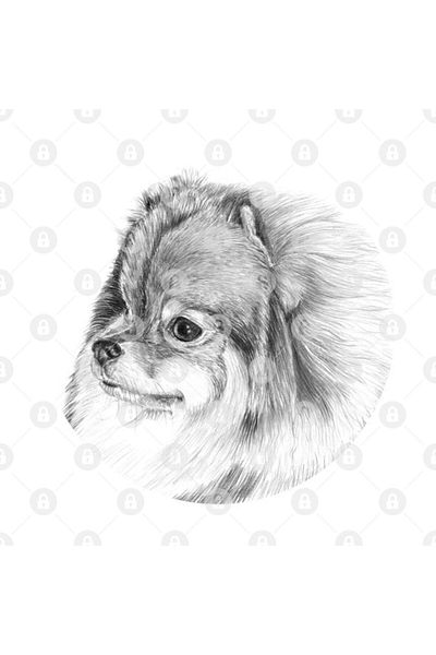 TatFast كوب صغير طويل الشعر، هدية، مهر، عرض