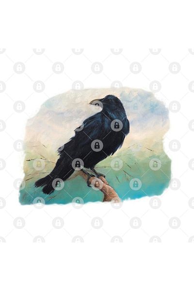 TatFast كوب Raven On A Limb، هدية، مهر، عرض