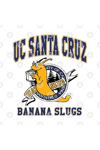 TatFast Uc Santa Cruz Banana Slugs Mug, Gift, Dowry, Presentation