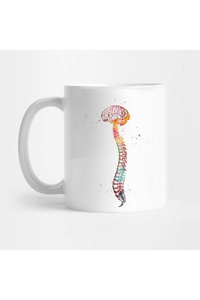 TatFast Human Spine with Brain Mug, Gift, Dowry, Presentation