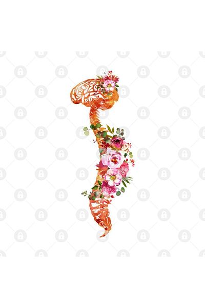 TatFast كوب دوار بشري، هدية، مهر، عرض