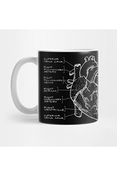 TatFast Anatomical Heart Diagram (white ) Kupa, Hediyelik, Çeyizlik, Sunumluk