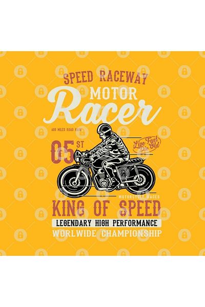 TatFast Motor Racing Trophy, Gift, Dowry, Presentation