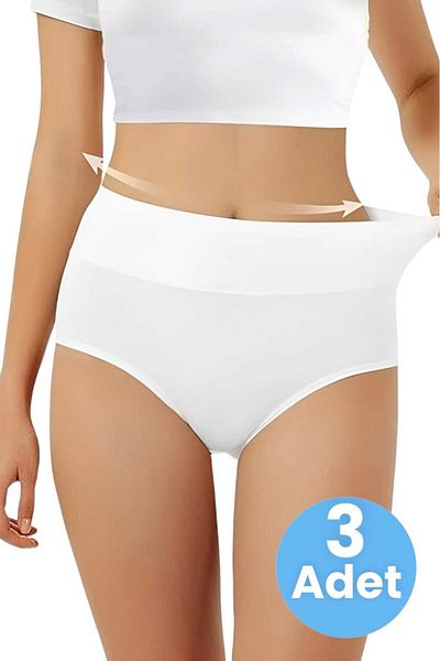 Tezzgelsin Seamless Women's Slip Panties Corset - Abdominal Recovery Set of 3
